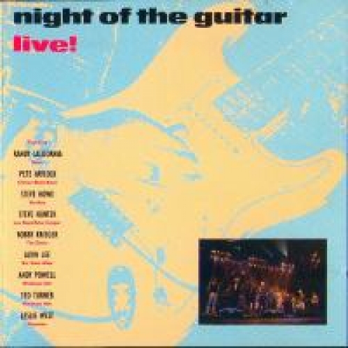 Night Of The Guitar Live!