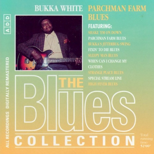 The Blues Collection: Bukka White, Parchman Farm Blues