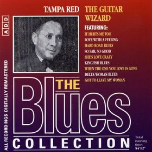 The Blues Collection 51: The Guitar Wizard