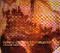 Songs of the Unforgiven by Crash Test Dummies