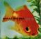 Sea of No Cares by Great Big Sea