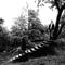 Timber Timbre by Timber Timbre