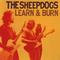 Learn & Burn by The Sheepdogs