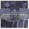 Blooming Bright Star by The Irish Descendants