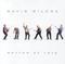 Rhythm of Love by David Wilcox