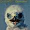 A Worm's Life by Crash Test Dummies