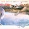 Grace Under Pressure by Rush