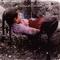 Under Feet Like Ours by Sara and Tegan