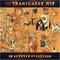 In Between Evolution by The Tragically Hip