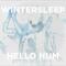 Hello Hum by Wintersleep