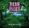 Are You Ready by Blue Rodeo