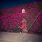 Pleasure by Feist